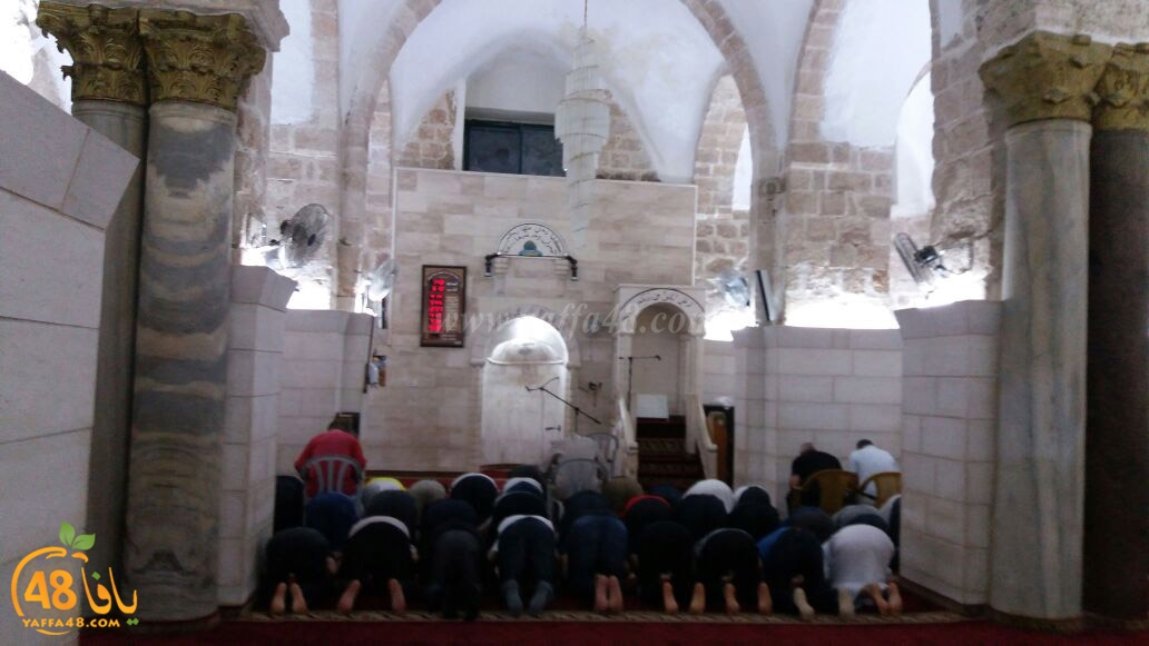 masira lud jame3 (3).jpg